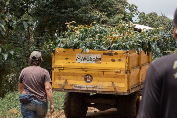Camión de Wakate cargado de plantas, vía a la escuela Morro Azul. Crédito Sandra Bejarano Aguirre
