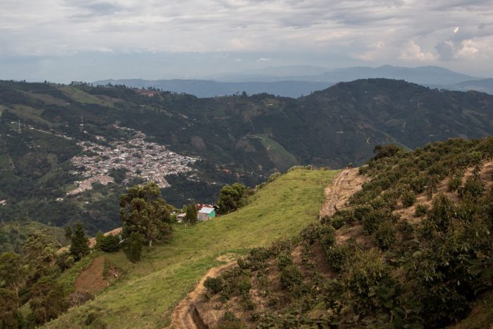 Vista del municipio de Apía desde la parte alta cultivada con aguacate. Vía hacia el Parque Nacional Tatamá. Crédito Sandra Bejarano Aguirre.