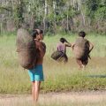 Indígenas yanomami cruzan la frontera hacia Brasil huyendo de la crisis económica y de los garimpeiros (mineros ilegales). La imagen fue tomada en la comunidad Parima B, del municipio Alto Orinoco, estado Amazonas, Venezuela. Foto: Luis Betancourt.