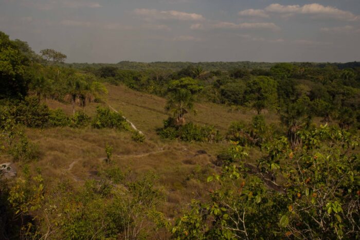 El bosque de Puerta del Orion en el Guaviare hace parte del resguardo de la comunidad Nukak. Por Juan Carlos Contreras. 