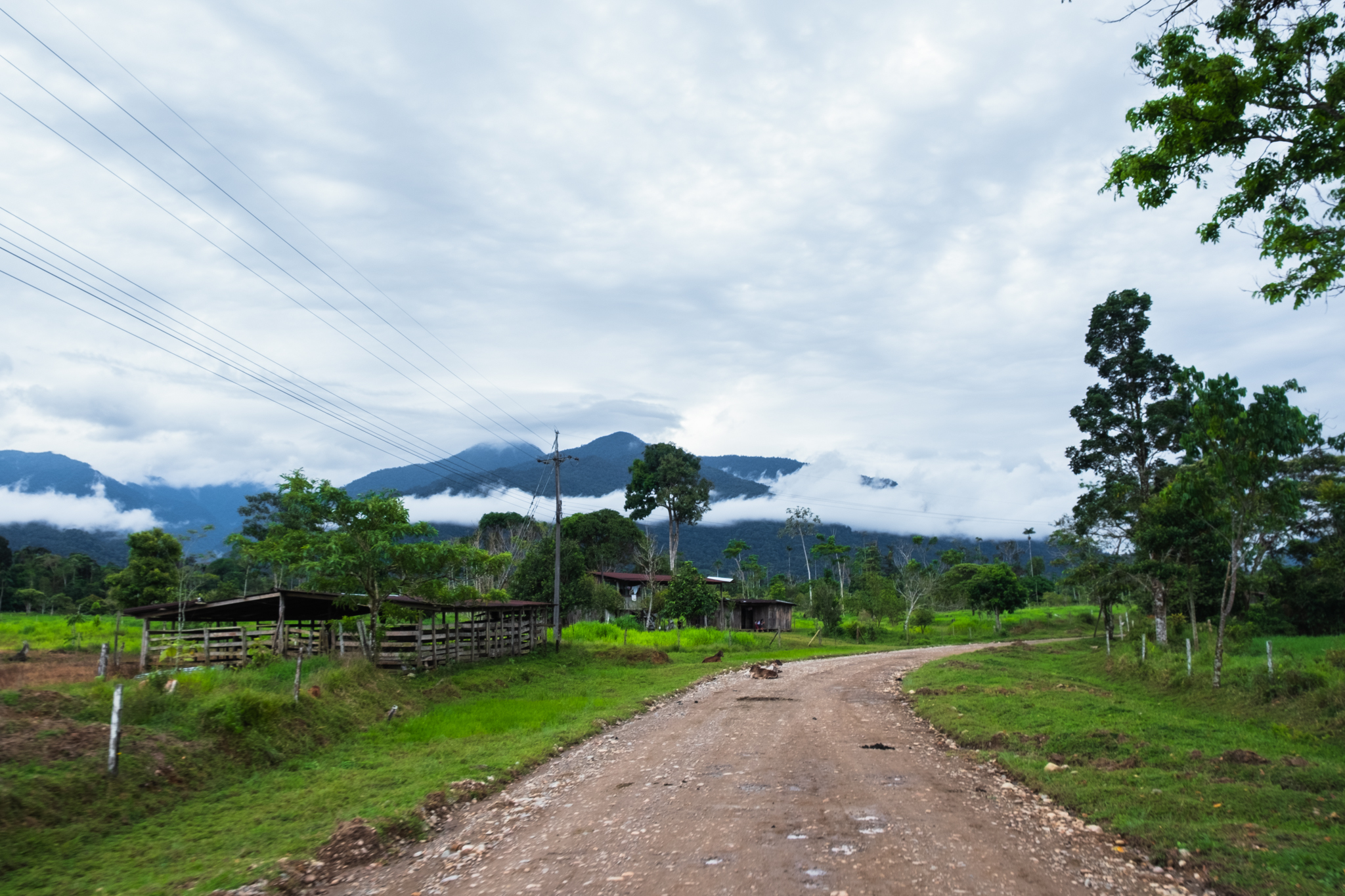 Vista del camino de tierra sobre el que se construirá la Carretera Marginal de la Selva, Piamonte, Cauca. Foto: Sergio Alejandro Melgarejo.