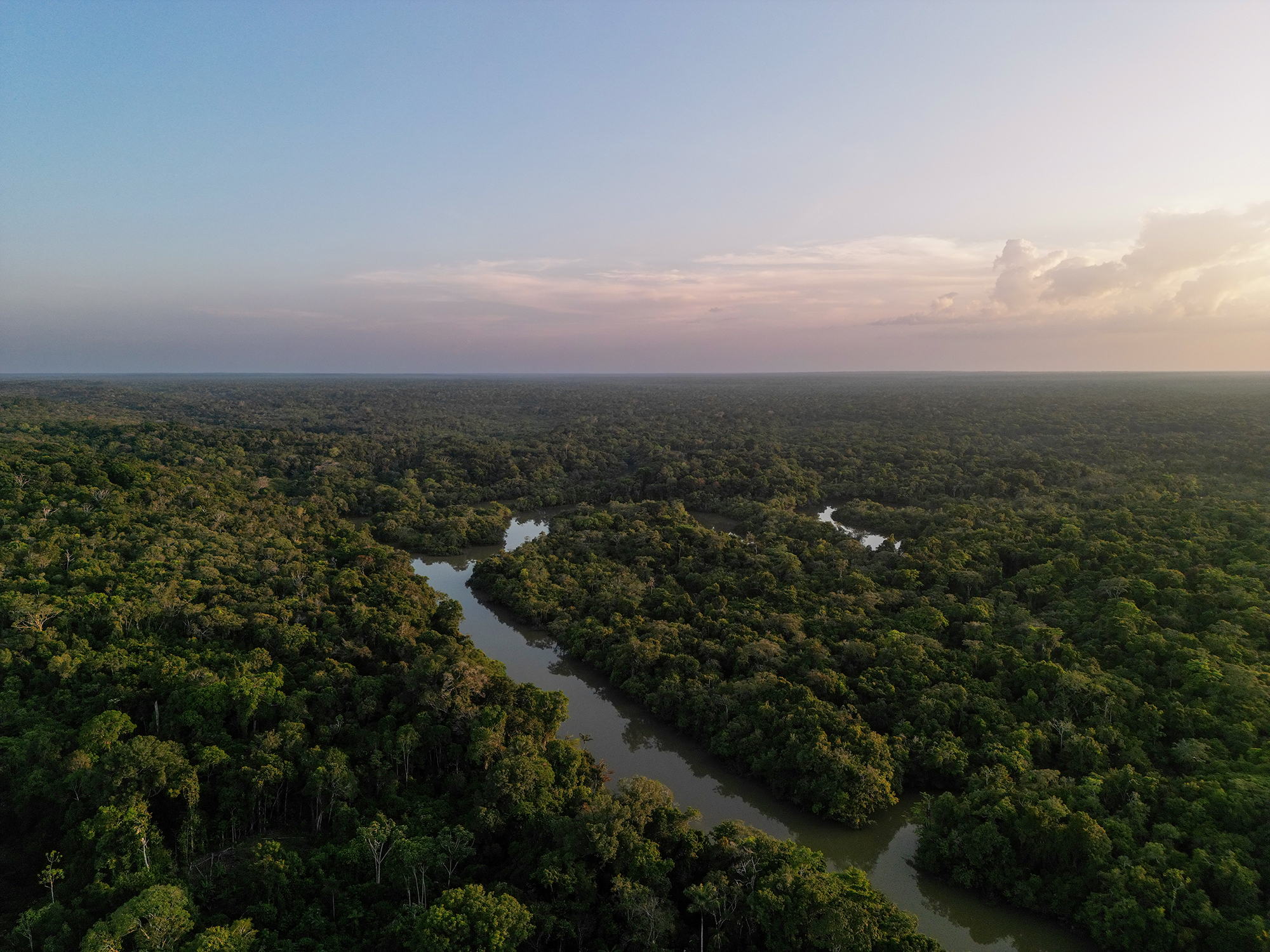 Vista aérea de los caños y vertientes del río Caquetá que componen la zona de conservación de Puerto Caimán. Resguardo Curare Los Ingleses en Amazonas, Colombia. Crédito: Victor Galeano.