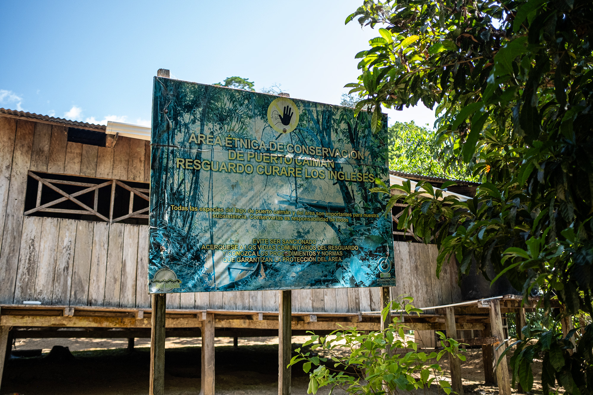 Vista aérea de los caños y vertientes del río Caquetá que componen la zona de conservación de Puerto Caimán. Resguardo Curare Los Ingleses en Amazonas, Colombia. Crédito: Víctor Galeano.