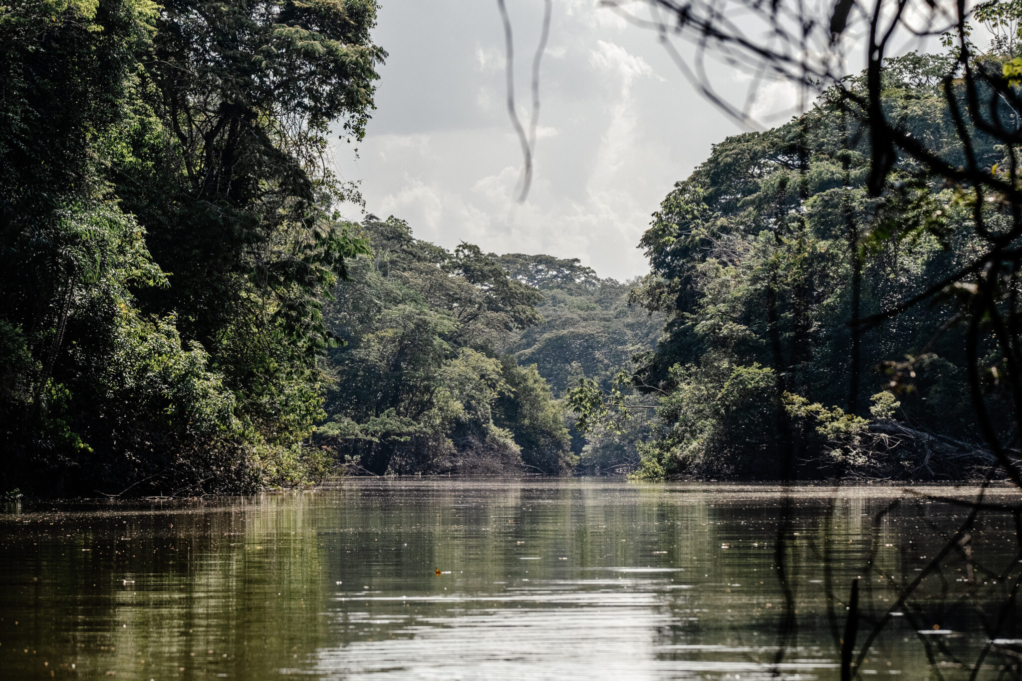 Caño Puerto Caimán, un brazo del río Caquetá, departamento de Amazonas. en Colombia, que recorren diariamente los vigías comunitarios, con la tarea de inventariar las especies que se encuentran en el recorrido, sus comportamientos y controlar el ingreso de personas a la zona.