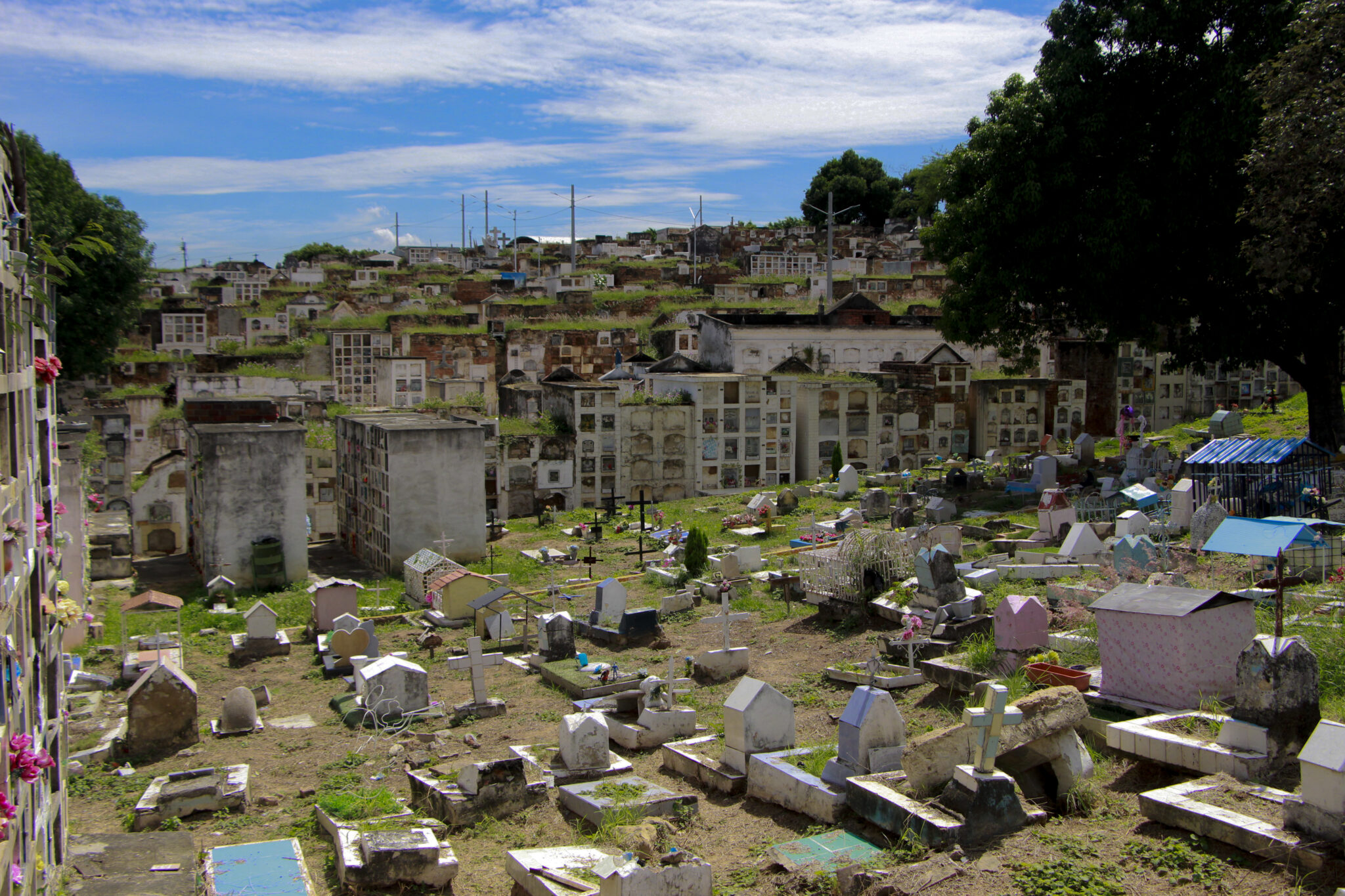 Cementerio Central de Cúcuta tumbas_Crédito Mario Caicedo