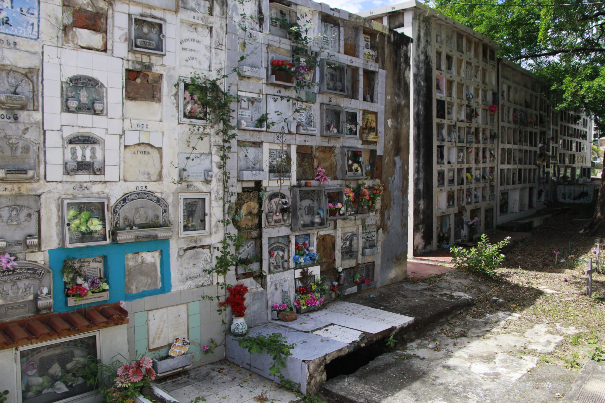 Cementerio Cúcuta tumbas muros_Crédito Mario Caicedo