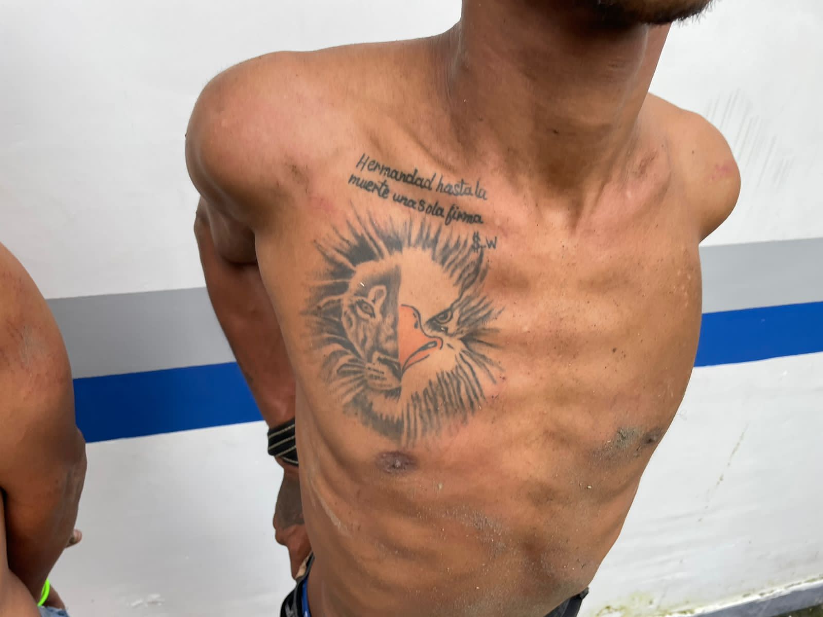 Ecuador Amazonía. Los militares capturaron el 16 de enero de 2024, en Orellana, a un miembro de Los Choneros, que tenía un tatuaje de un león y un águila, símbolo de las dos principales facciones de esa banda: Los Fatales y Águilas. Foto: FFAA de Ecuador.