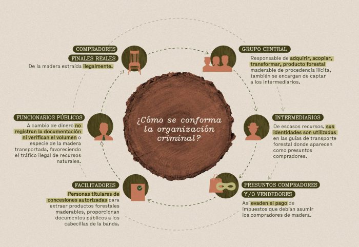 3_Infografia_Organización tráfico de madera Bolivia Perú.pg