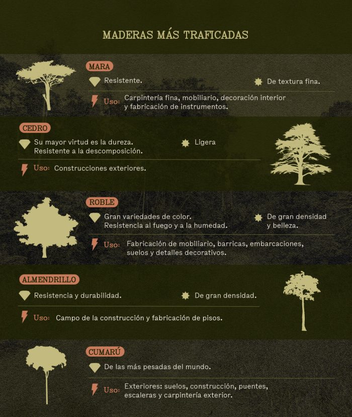 Infografía_Tipos de madera Bolivia Perú