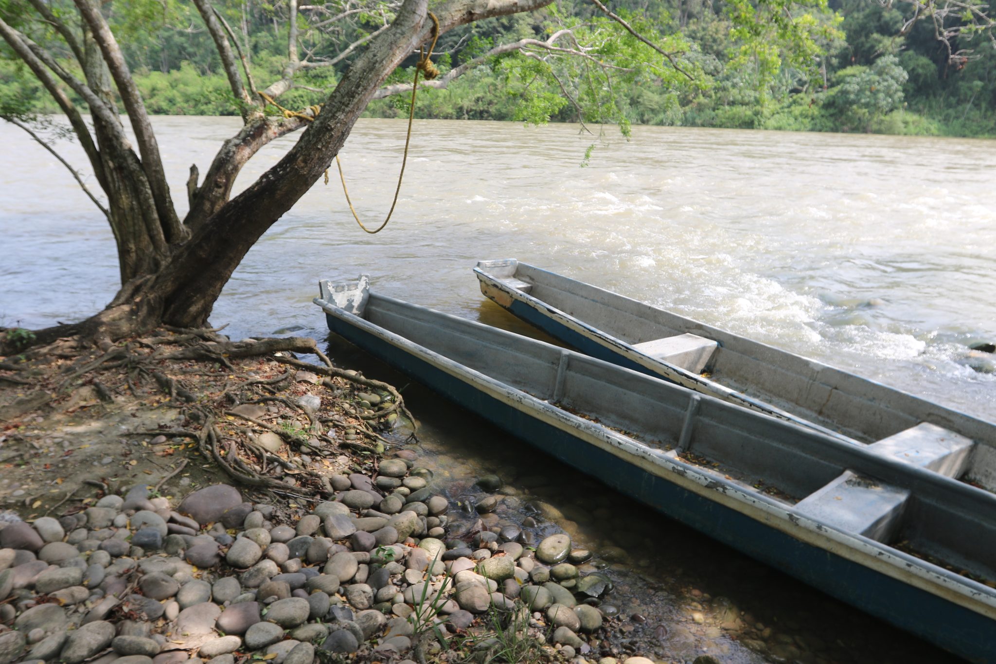 Según la Comisión de la Verdad, con la construcción de Hidrosogamoso los peces dejaron de migrar, porque se creó una barrera que se los impedía, y por eso dejaron de reproducirse y comenzaron a morir. Foto: Jaime Moreno Vargas