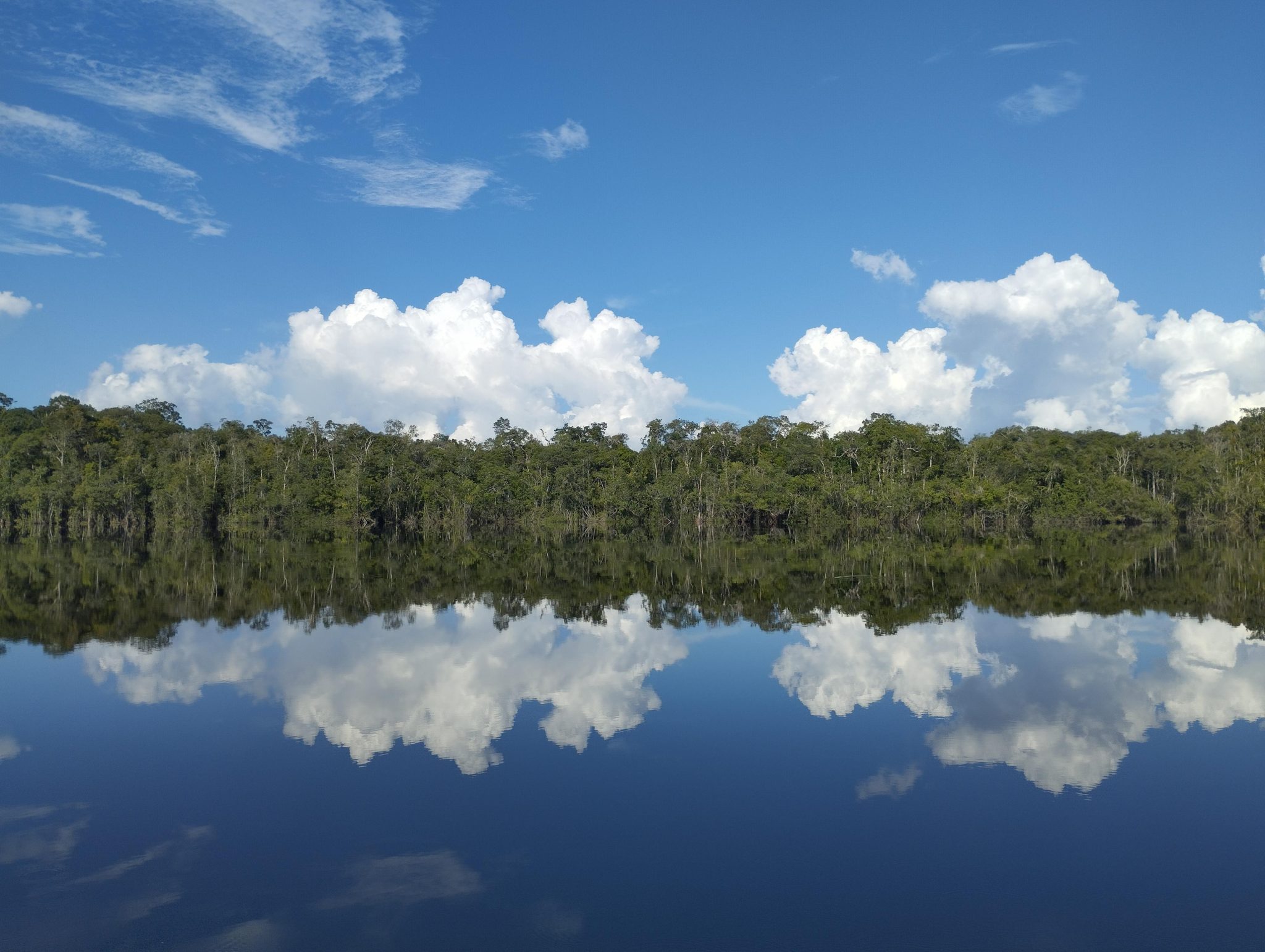Paisaje río Negro Amazon