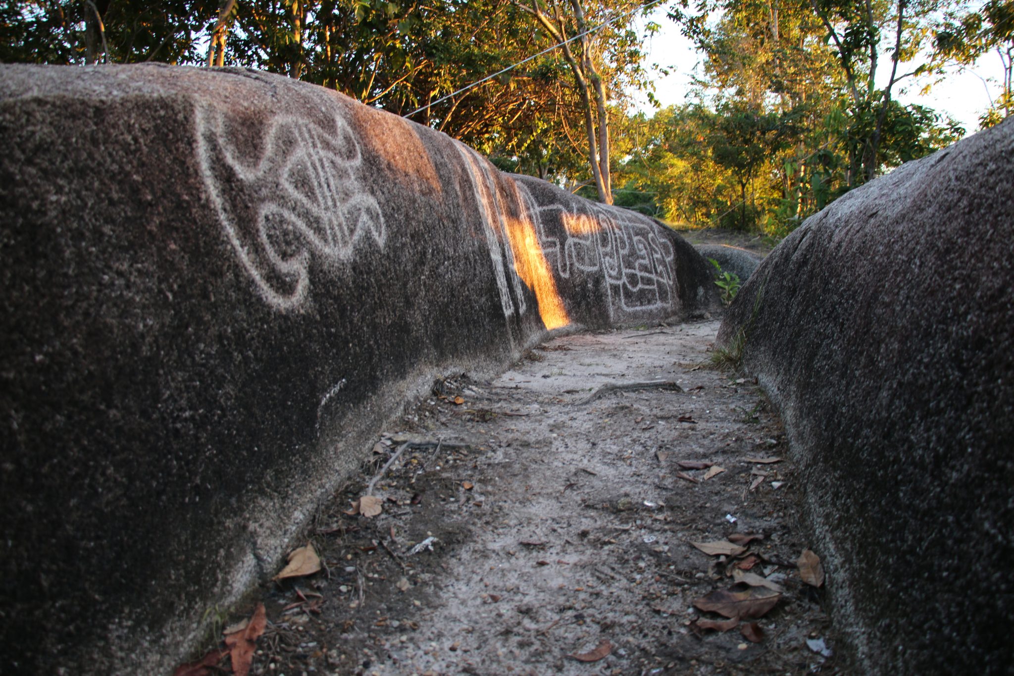 Foto 11. Petroglifos en la comunidad de Coco Viejo, a cinco kilómetros de Inírida. Foto: Edwin Suárez.