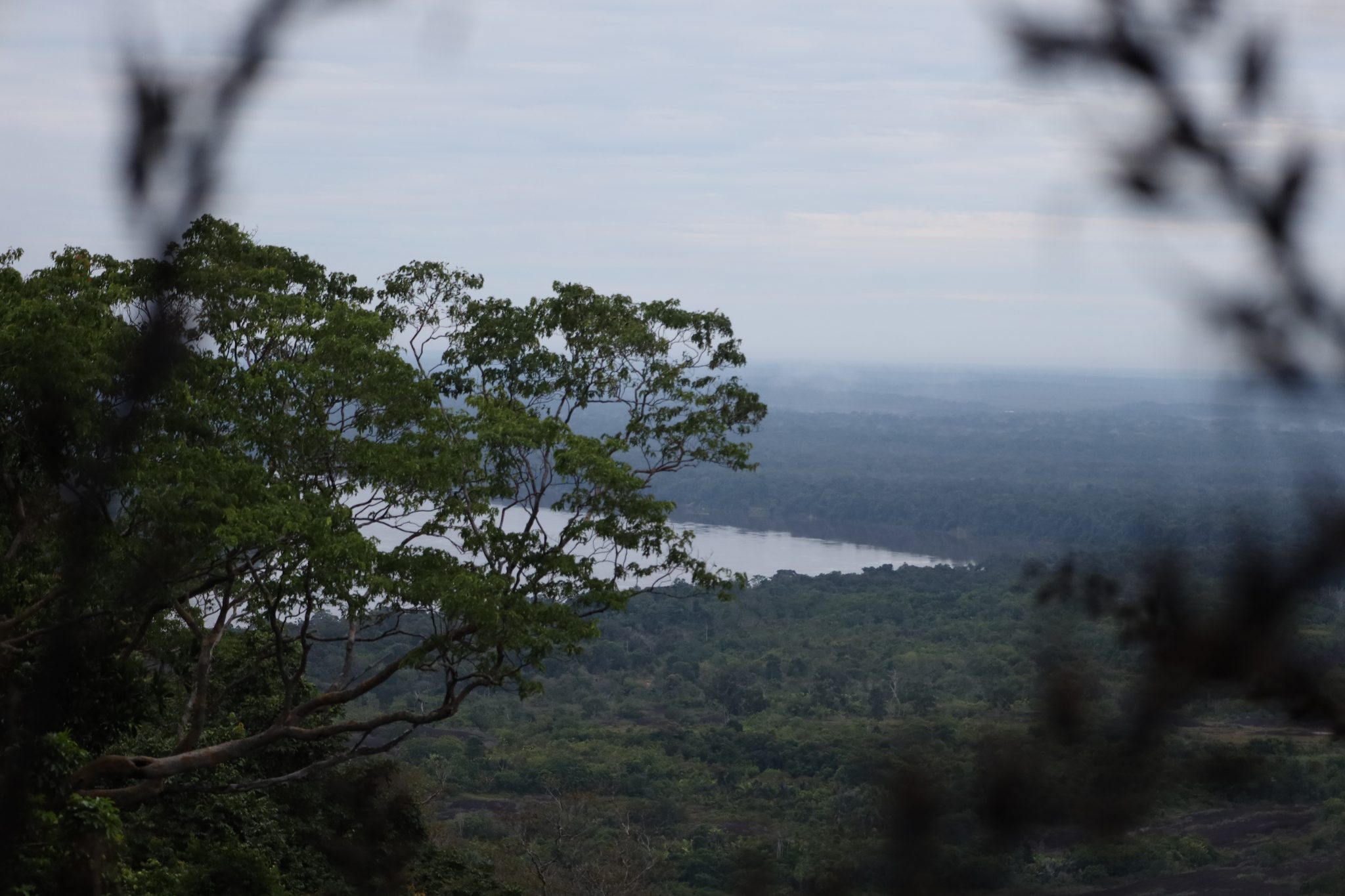 Foto 13. Vista de la selva del Guainía durante el ascenso al cerro Mavicure. Foto: Edwin Suárez.