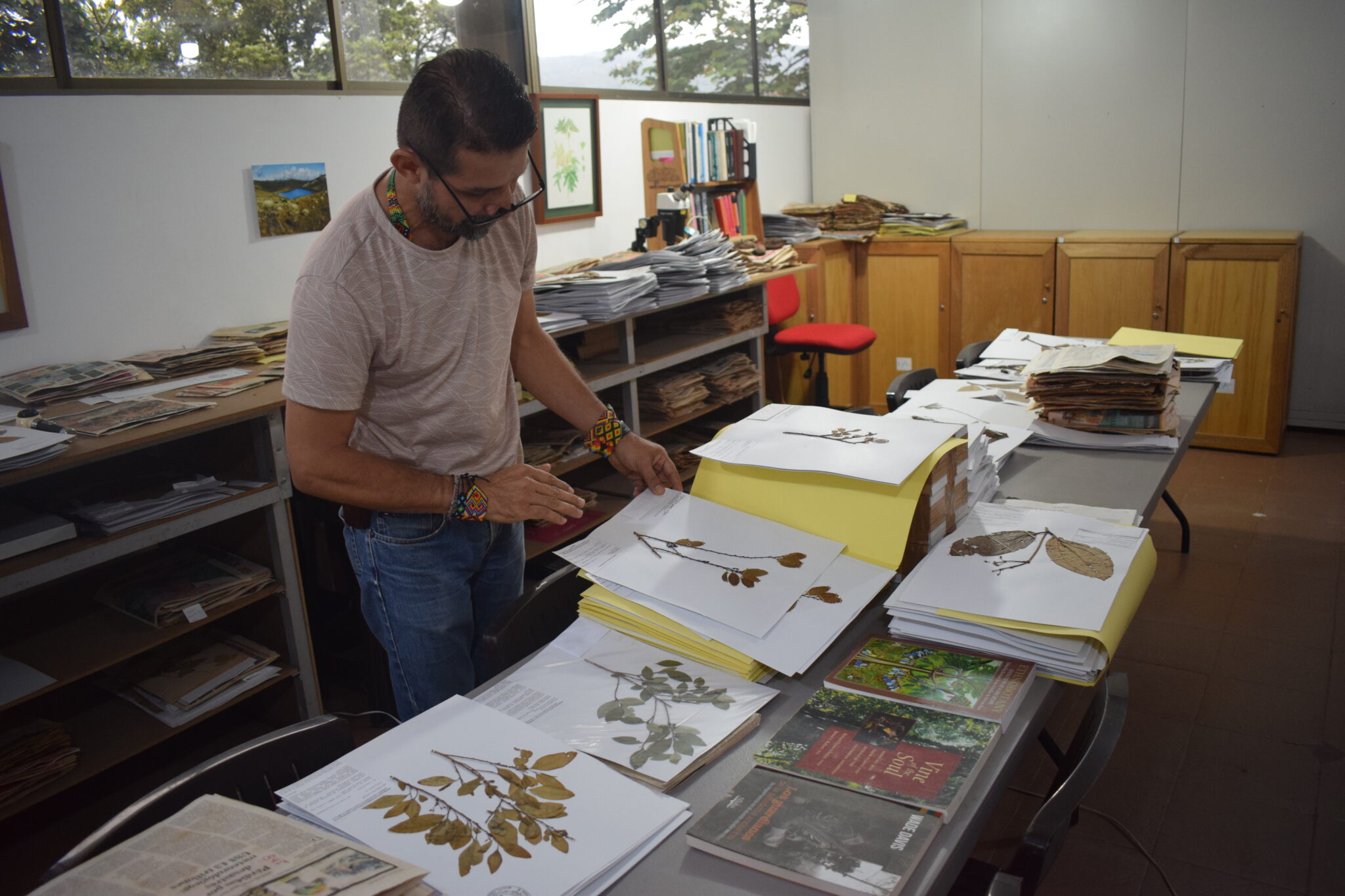 Jorge Contreras en el Herbario etnobotánico con plantas en proceso de registro. Foto: Paola Jinneth Silva Melo
