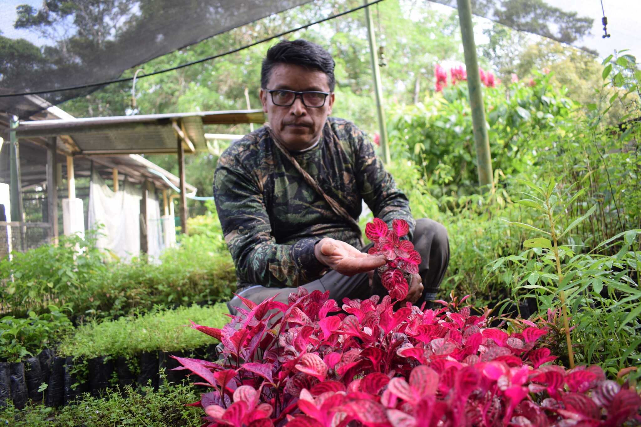 Foto 16_ Manuel Mueces en el herbario del Jardín Botánico de Plantas Medicinales. Foto Jinneth Paola Silva
