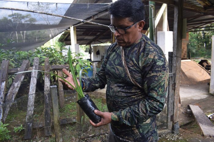 Foto 20_ Manuel Mueces con una plántula de Amarilis. Foto Jinneth Paola Silva.