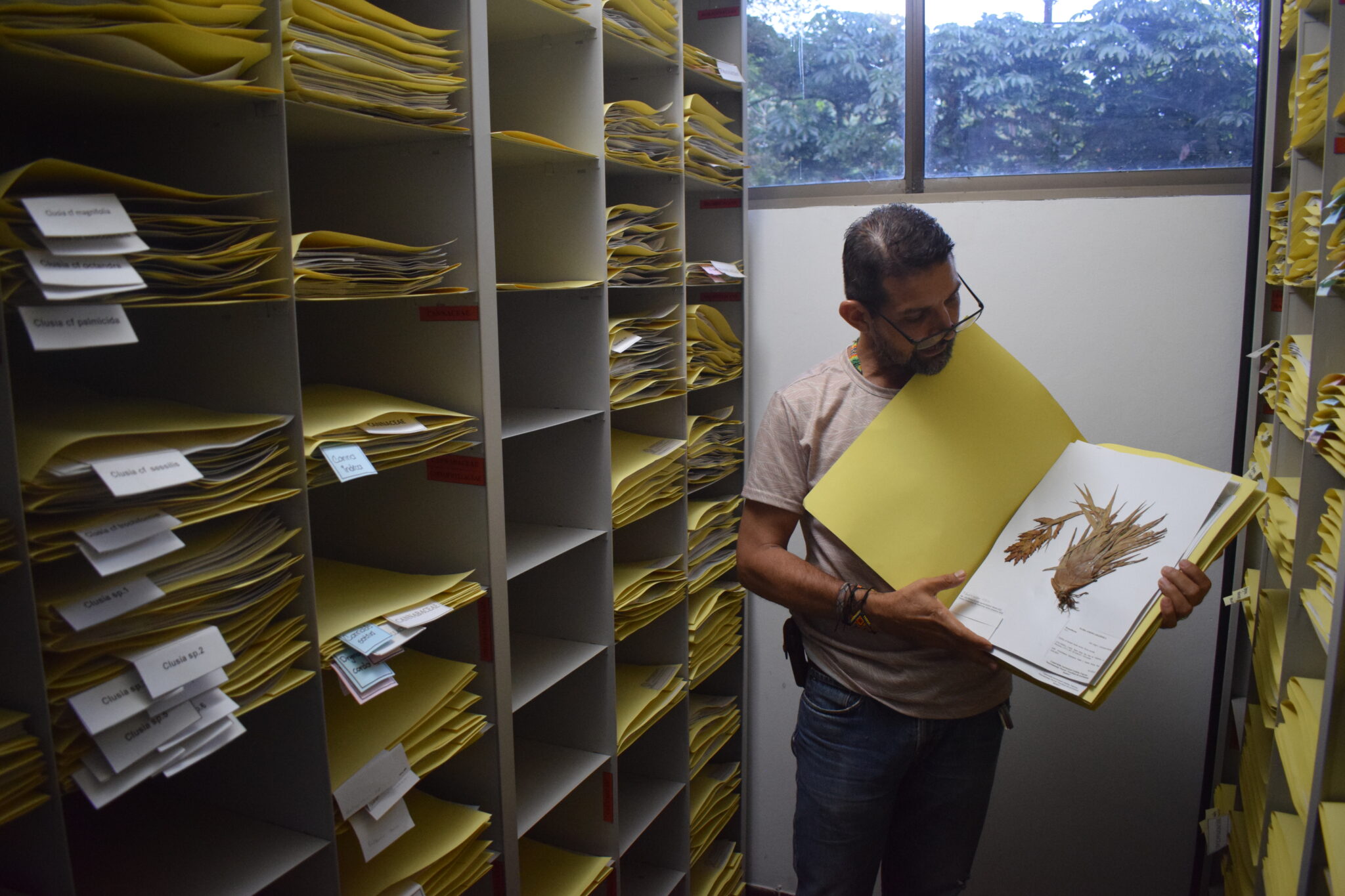 Foto 3 herbario etnobotánico. Jinneth Paola Silva