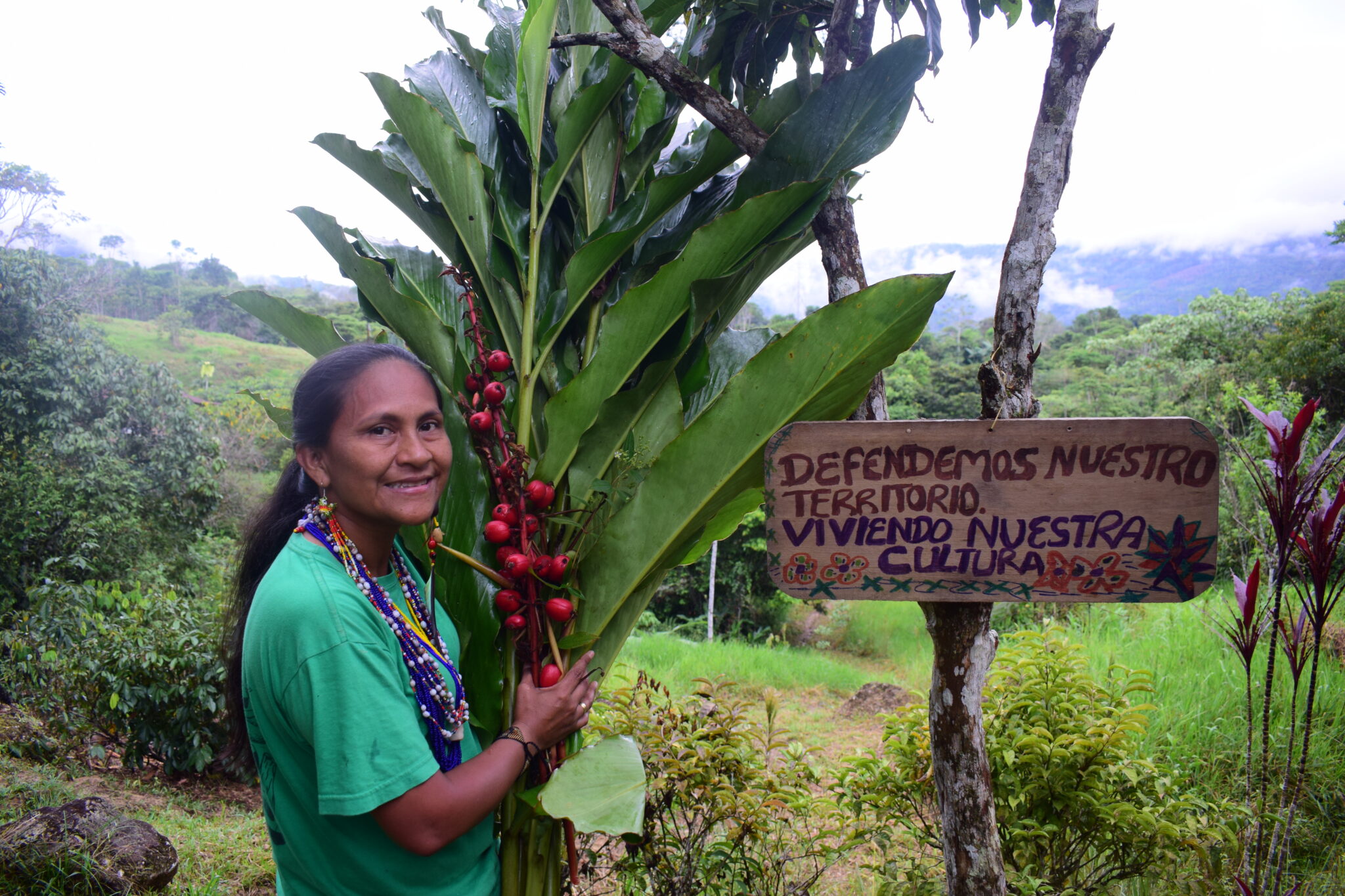 Foto 6_ Soraida Chindoy con las flores y hojas del sirindango. Foto Jinneth Paola Silva