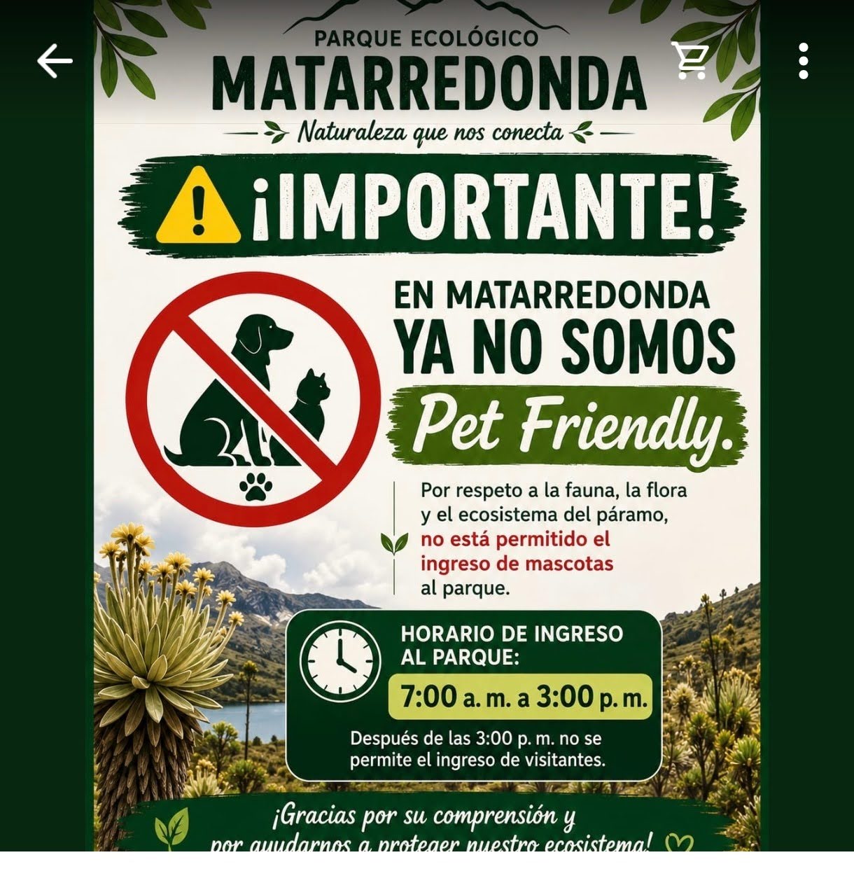 Recurso Mataredonda 5